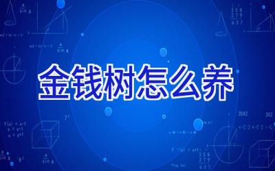 金钱树怎么养插图