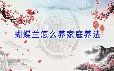 蝴蝶兰怎么养家庭养法插图