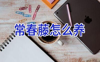 常春藤怎么养插图