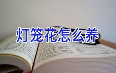 灯笼花怎么养插图 灯笼花怎么养插图