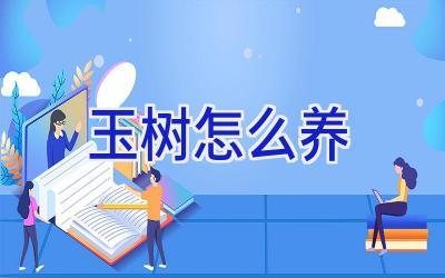 玉树怎么养插图 玉树怎么养插图