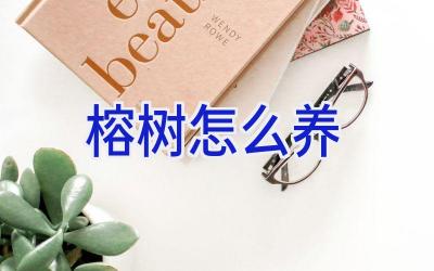 榕树怎么养插图