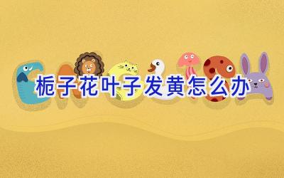 栀子花叶子发黄怎么办插图