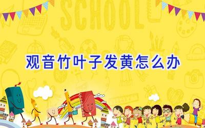 观音竹叶子发黄怎么办插图