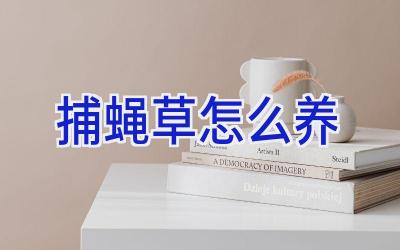 捕蝇草怎么养插图 捕蝇草怎么养插图
