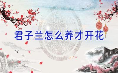 君子兰怎么养才开花插图 君子兰怎么养才开花插图