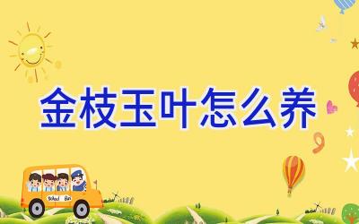 金枝玉叶怎么养插图