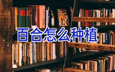 百合怎么种植插图