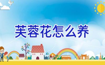 芙蓉花怎么养插图 芙蓉花怎么养插图