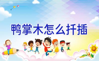 鸭掌木怎么扦插插图