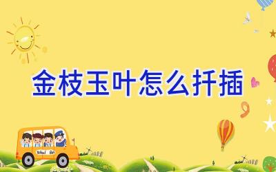 金枝玉叶怎么扦插插图