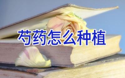 芍药怎么种植插图