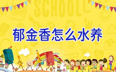 郁金香怎么水养插图 郁金香怎么水养插图