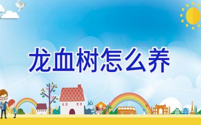 龙血树怎么养插图 龙血树怎么养插图