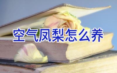 空气凤梨怎么养插图