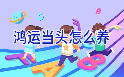 鸿运当头怎么养插图 鸿运当头怎么养插图