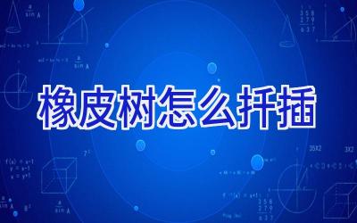 橡皮树怎么扦插插图