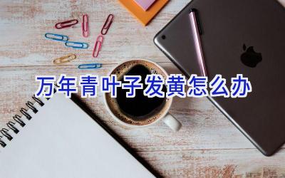 万年青叶子发黄怎么办插图 万年青叶子发黄怎么办插图