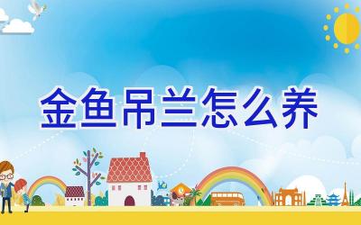 金鱼吊兰怎么养插图 金鱼吊兰怎么养插图