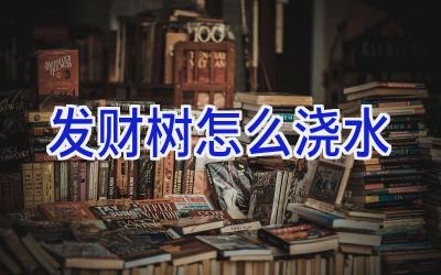 发财树怎么浇水插图