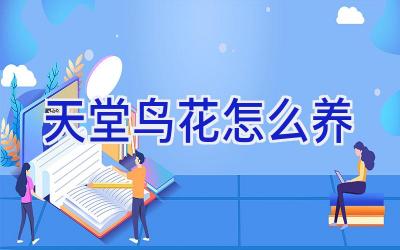 天堂鸟花怎么养插图 天堂鸟花怎么养插图