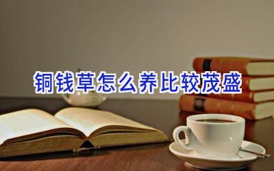 铜钱草怎么养比较茂盛插图 铜钱草怎么养比较茂盛插图