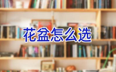 花盆怎么选插图