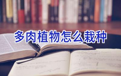 多肉植物怎么栽种插图 多肉植物怎么栽种插图