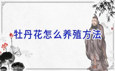 牡丹花怎么养殖方法插图