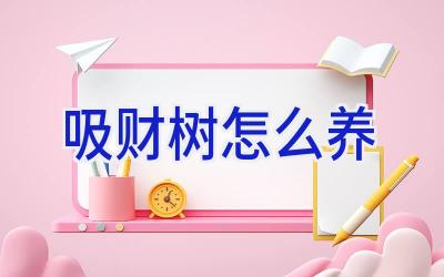 吸财树怎么养插图 吸财树怎么养插图