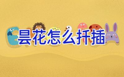 昙花怎么扦插插图 昙花怎么扦插插图