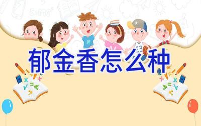 郁金香怎么种插图 郁金香怎么种插图