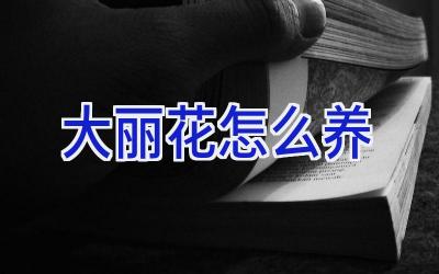 大丽花怎么养插图