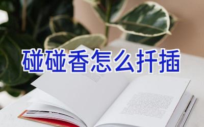 碰碰香怎么扦插插图