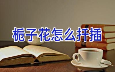 栀子花怎么扦插插图