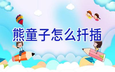 熊童子怎么扦插插图