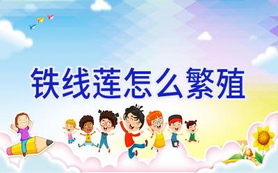 铁线莲怎么繁殖插图