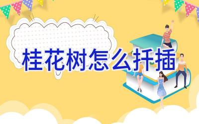 桂花树怎么扦插插图