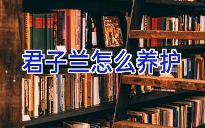 君子兰怎么养护插图 君子兰怎么养护插图