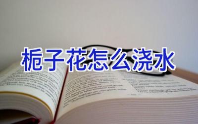 栀子花怎么浇水插图