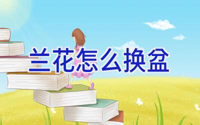 兰花怎么换盆插图 兰花怎么换盆插图