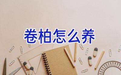 卷柏怎么养插图 卷柏怎么养插图