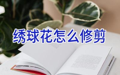 绣球花怎么修剪插图 绣球花怎么修剪插图