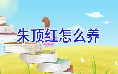 朱顶红怎么养插图 朱顶红怎么养插图