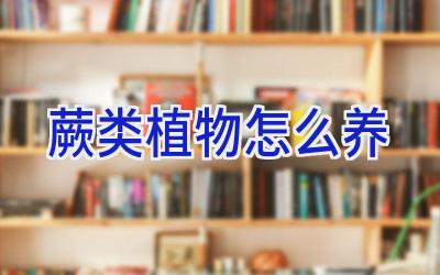 蕨类植物怎么养插图 蕨类植物怎么养插图