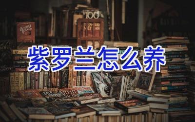 紫罗兰怎么养插图 紫罗兰怎么养插图