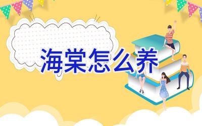 海棠怎么养插图