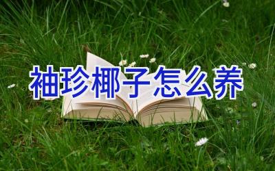 袖珍椰子怎么养插图