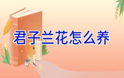 君子兰花怎么养插图 君子兰花怎么养插图