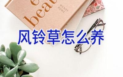 风铃草怎么养插图